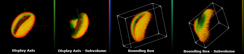 Display Axis and Bounding Box Example